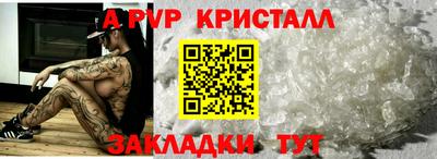 стаф Тара