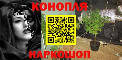 стаф Тара